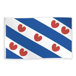Friesland versiering: vier jouw feestje met pompeblêden en trots