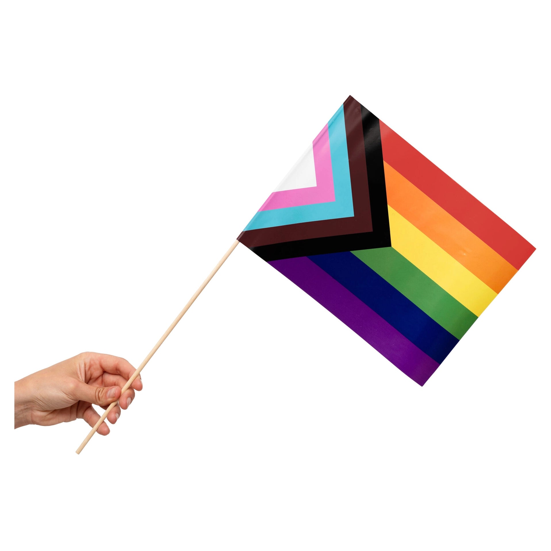10 papieren zwaaivlaggen pride 20x30cm