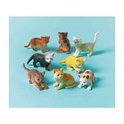 12 uitdeelcadeautjes katten
