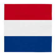 20 Papieren servetten  - 33×33 cm – Nederland