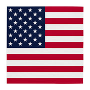 20 Papieren servetten  - 33×33 cm – Amerika