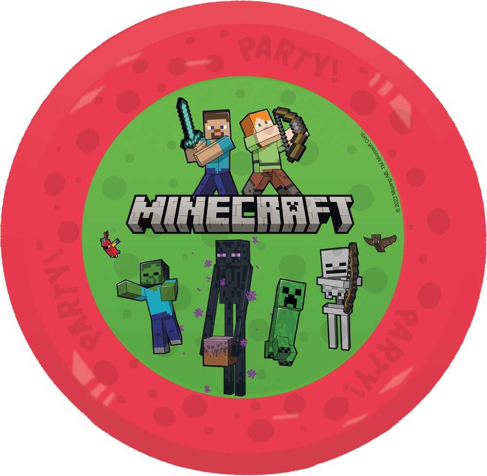 Minecraft Herbruikbare Feestborden – 4 stuks – 21 cm