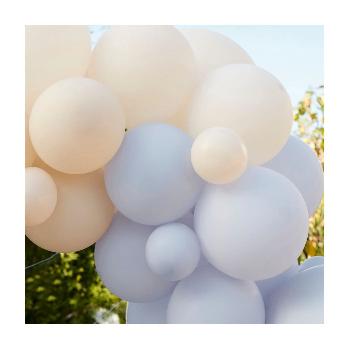 Ballonnenboog blauw en creme 5m