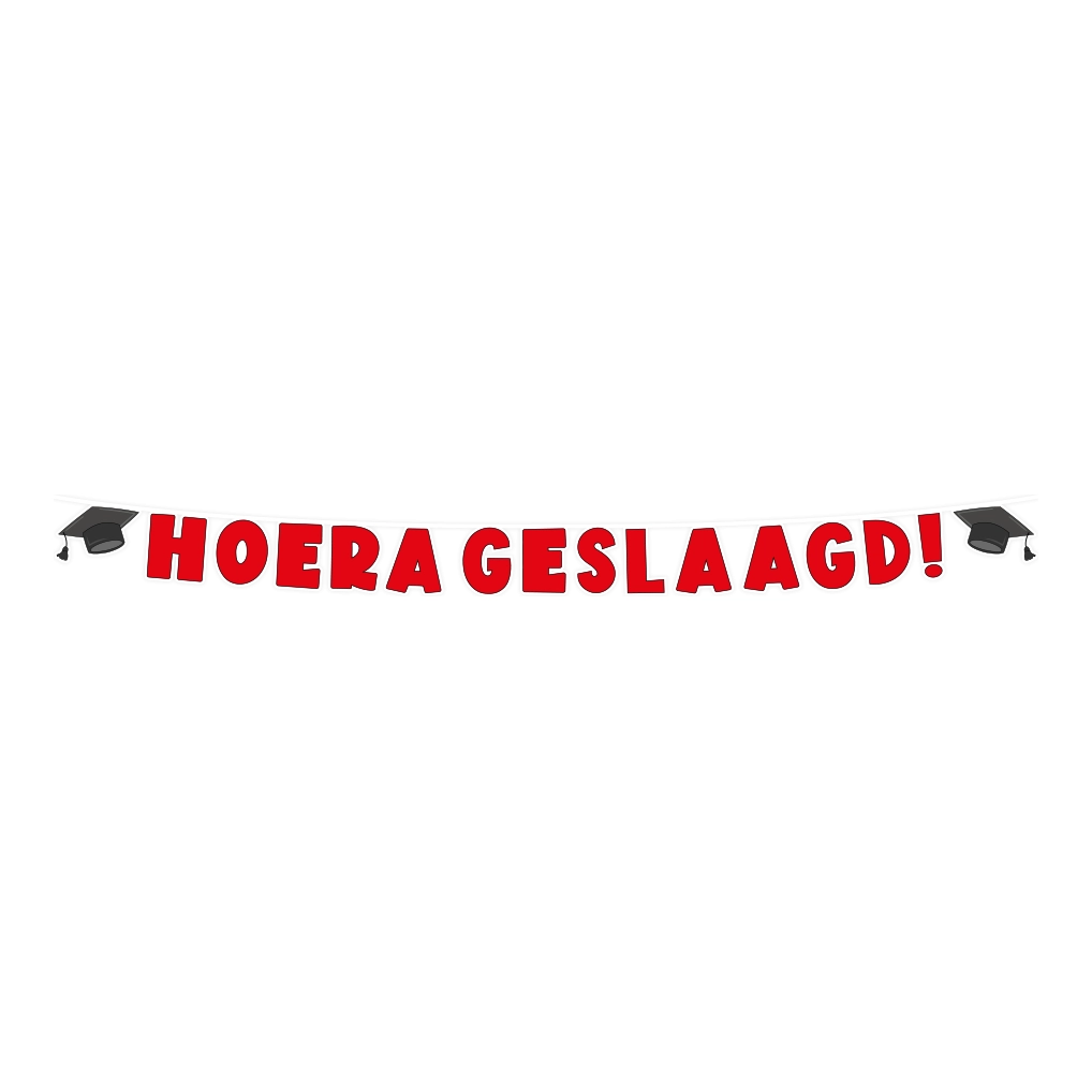 Hoera geslaagd letter slinger