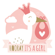Hooray It's a Girl deurbord