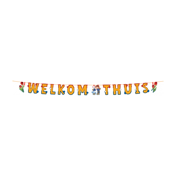 Letterslinger Welkom Thuis Holland 3 meter