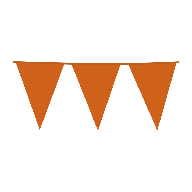 Oranje vlaggenlijn XL 10 meter