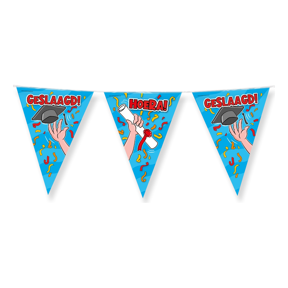 Party Vlaggen - Geslaagd school cartoon - 10 meter