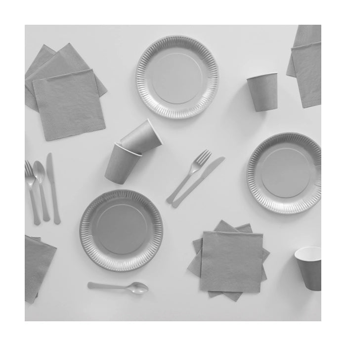 Plastic lepels zilver 24 stuks