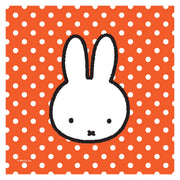 Servetten Nijntje papier 25x25cm 20 stuks