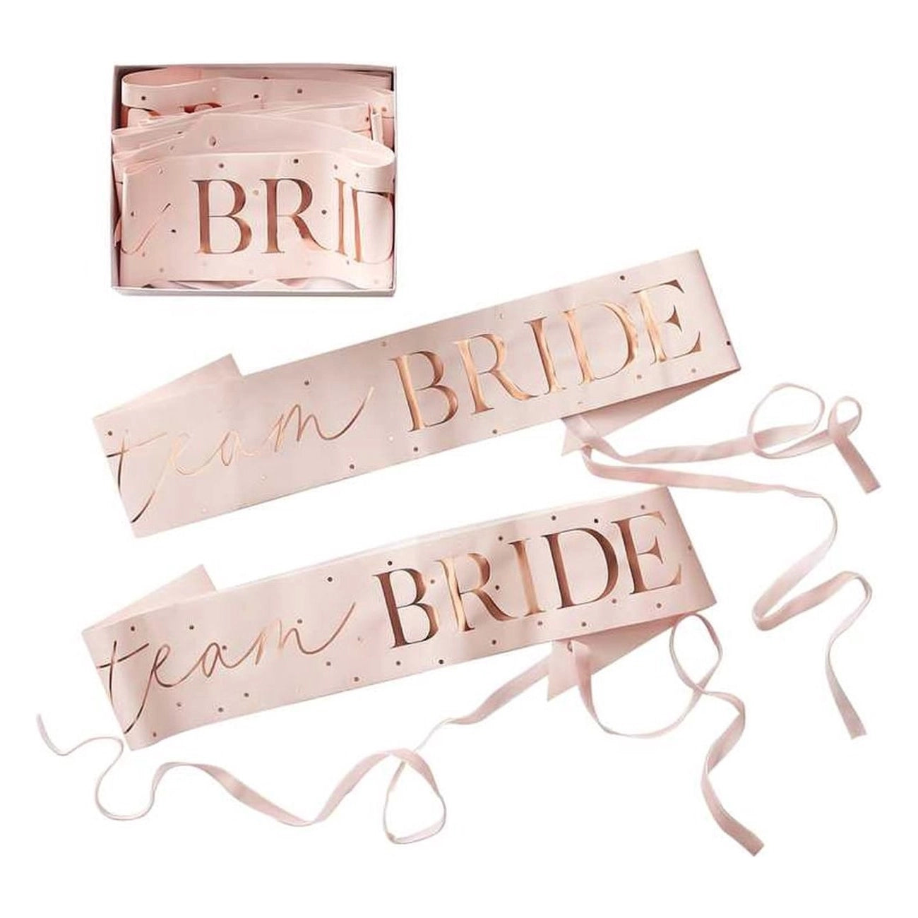 Sjerp Team Bride - GingerRay