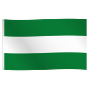 Vlag Rotterdam 150x90cm