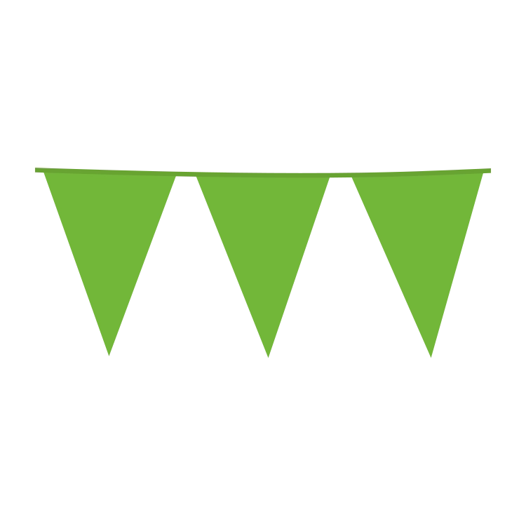 Vlaggenlijn lime groen XL