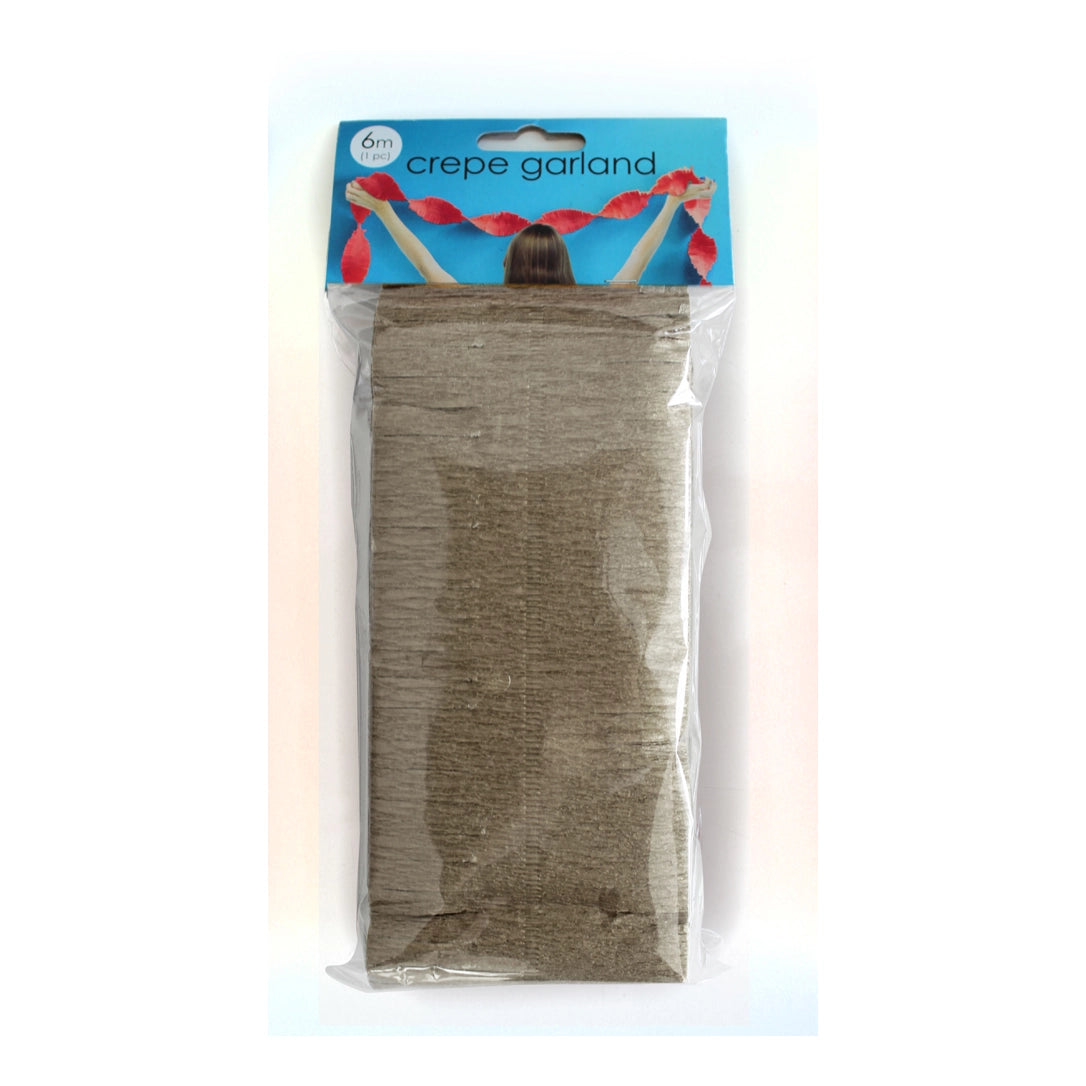 Zilveren Crêpe papier Slinger 6 meter